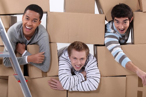 Removal crew handling boxed business items in a Swiss Cottage workplace
